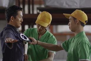 爆料林氏木业事件真相视频,真相视频曝光背后的惊人内幕